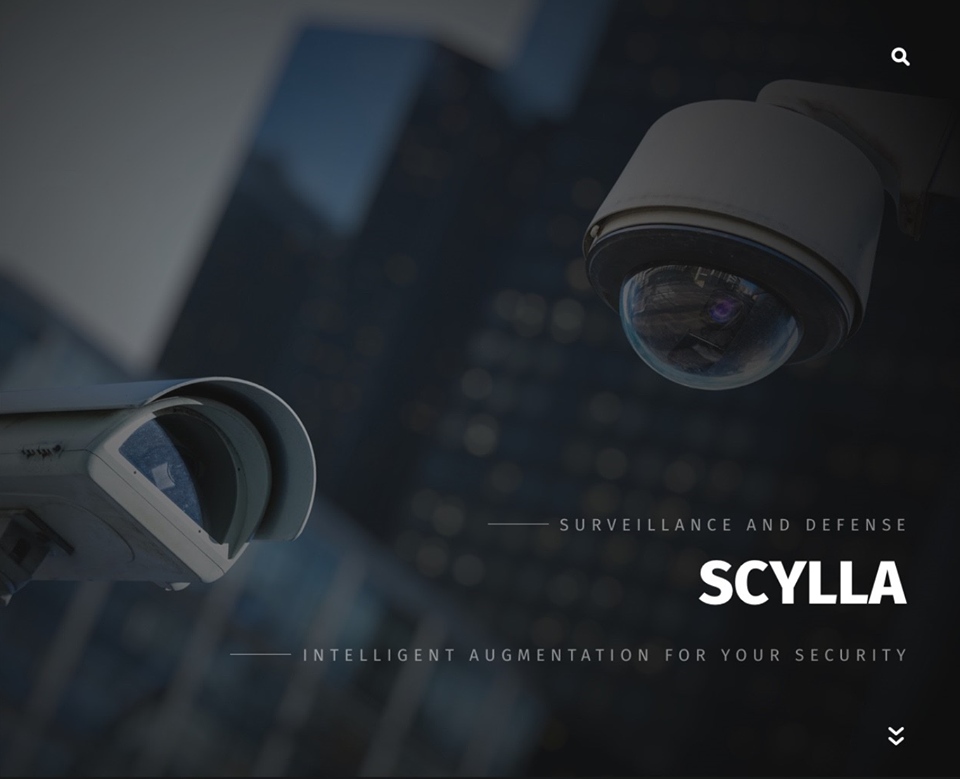 Scylla ստարտափ․ համակարգ, որը կօգնի կանխարգելել  հանցագործությունները